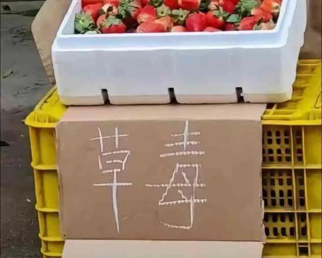 开心一刻 | 10个顶级笑话段子：个个笑点足，笑趴全场！-12.jpg