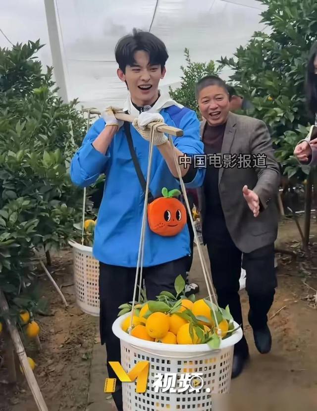 8位明星同框，聂远和刘敏涛当队长，带着成员一起体验摘橙子-2.jpg