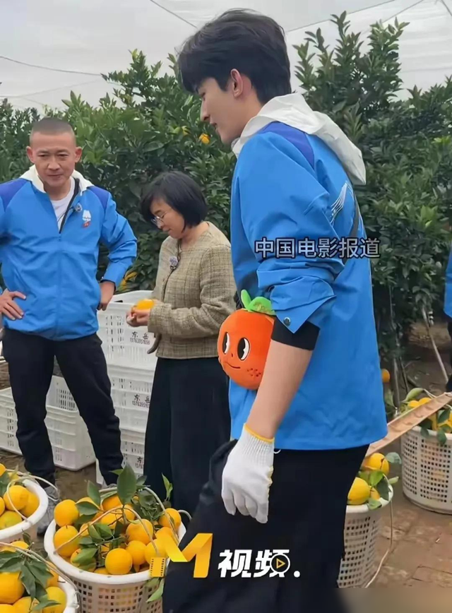 8位明星同框，聂远和刘敏涛当队长，带着成员一起体验摘橙子-12.jpg