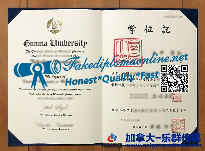 Gunma University degree 