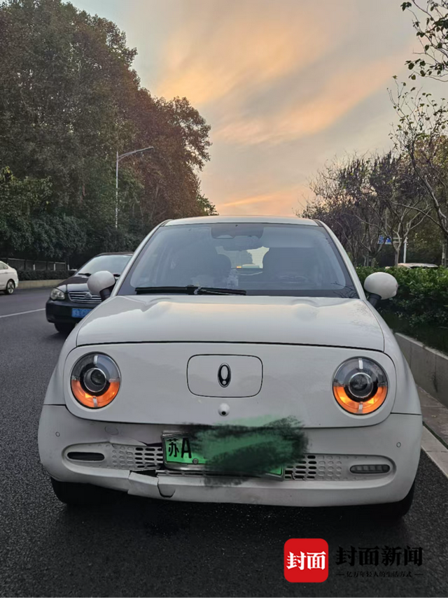 又见野猪“闯祸”撞车 “猪患”何解？管理和赔偿如何落实？多地尝试破解 ｜封面头条-2.jpg