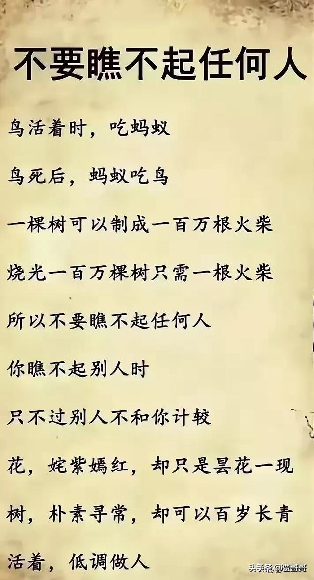 “套路”一文，太精辟了，幽默搞笑的段子，笑得前俯后仰。-4.jpg