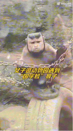 11张搞笑动图，你的笑点有多高，你能面无表情的看完吗？-9.jpg
