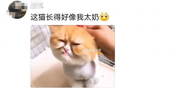分享网友的一些搞笑评论，笑死了，哈哈哈哈-1.jpg