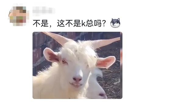 分享网友的一些搞笑评论，笑死了，哈哈哈哈-2.jpg