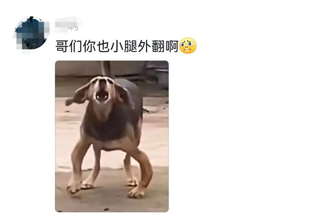 分享网友的一些搞笑评论，笑死了，哈哈哈哈-5.jpg