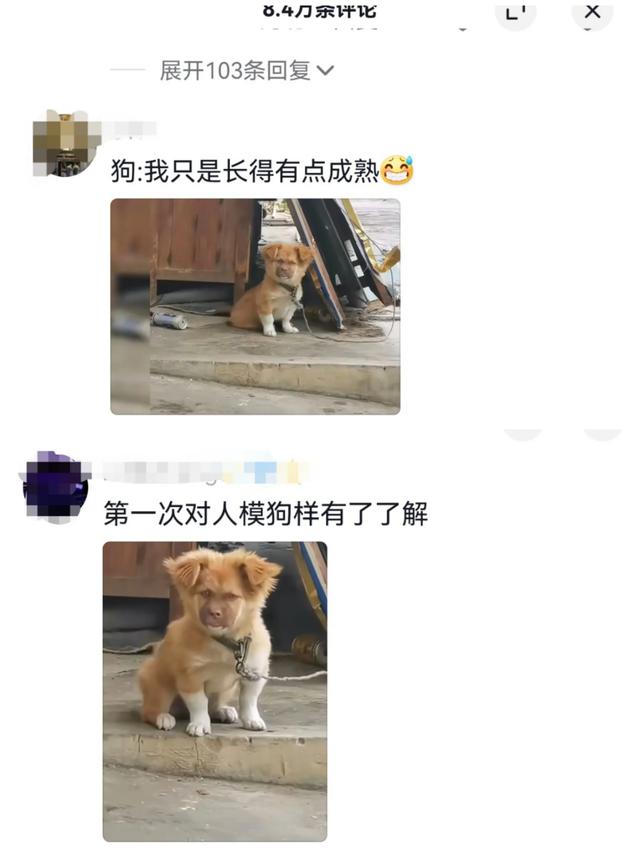 分享网友的一些搞笑评论，笑死了，哈哈哈哈-4.jpg