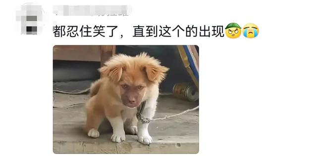 分享网友的一些搞笑评论，笑死了，哈哈哈哈-7.jpg