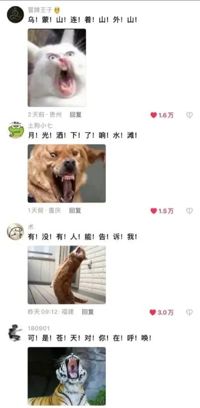 10张让人笑得腰都直不起来的搞笑图片-1.jpg