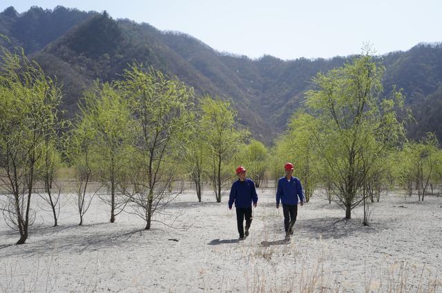 新华全媒头条丨加强生态环境保护 共绘美丽中国新画卷——“高质量发展调研行”聚焦生态文明建设-10.jpg