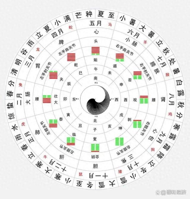 八卦中的象究竟为何物，我们又该如何学习看象-1.jpg