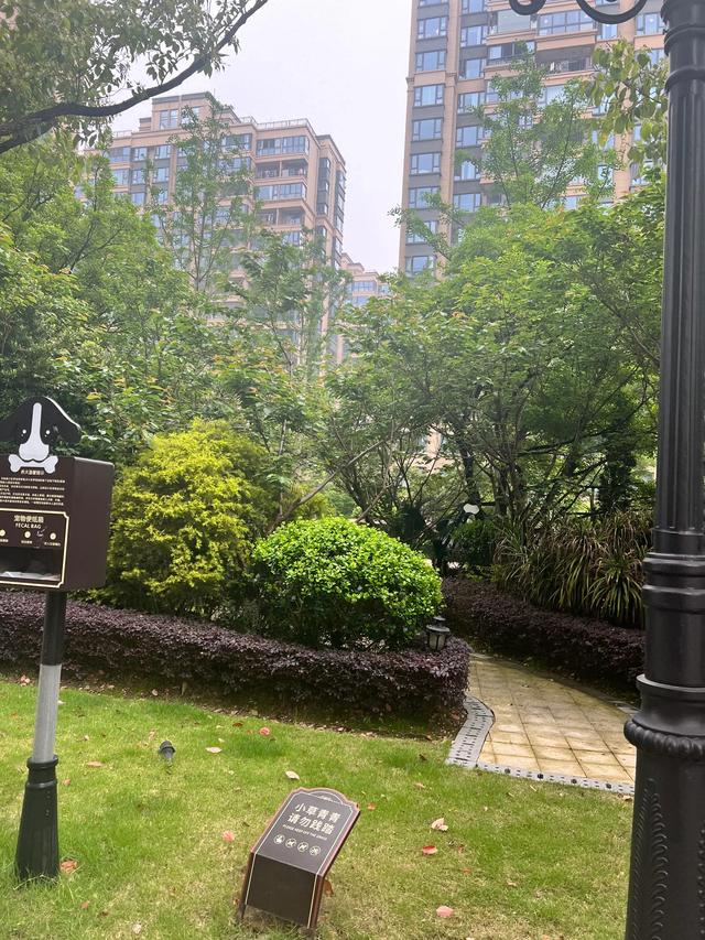 头条是可以休憩的地方，而且这边风景独好，我们既来之，则安之-1.jpg