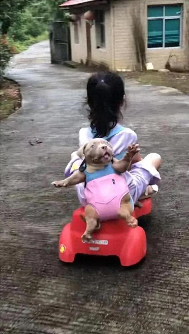 这么有趣的搞笑图片，当然是看一次笑一次啦。-1.jpg