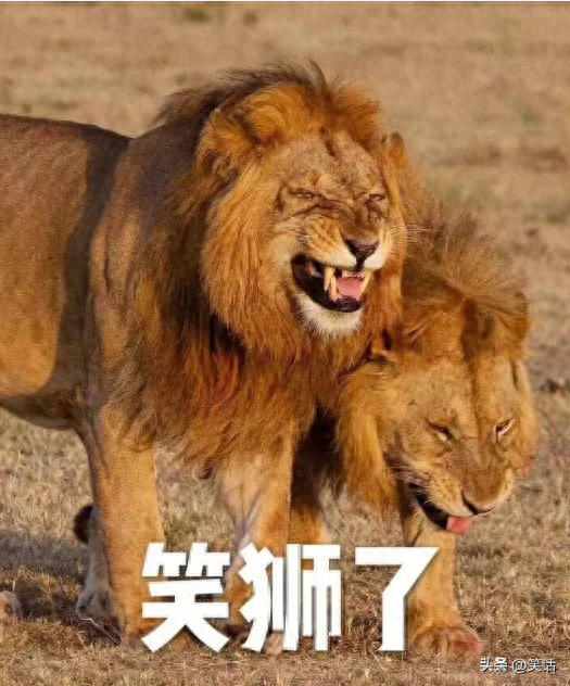 最新搞笑段子，笑料十足，一口气看三遍！-1.jpg