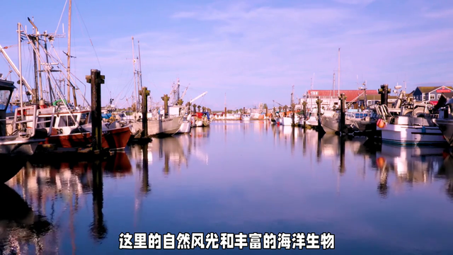 温哥华渔人码头 温哥华的渔人码头（Fisherman&#39;s Wharf)-3.jpg