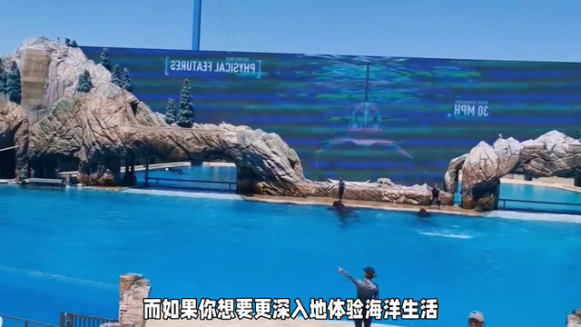 温哥华渔人码头 温哥华的渔人码头（Fisherman&#39;s Wharf)-4.jpg