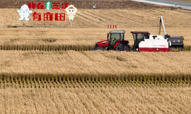 新华全媒头条丨习近平的乡土情-4.jpg