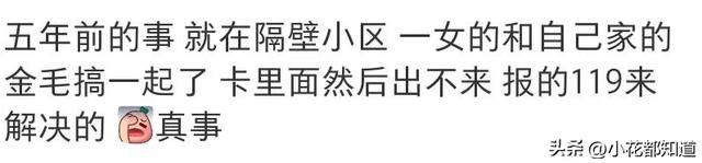 关于八卦的那些事-12.jpg