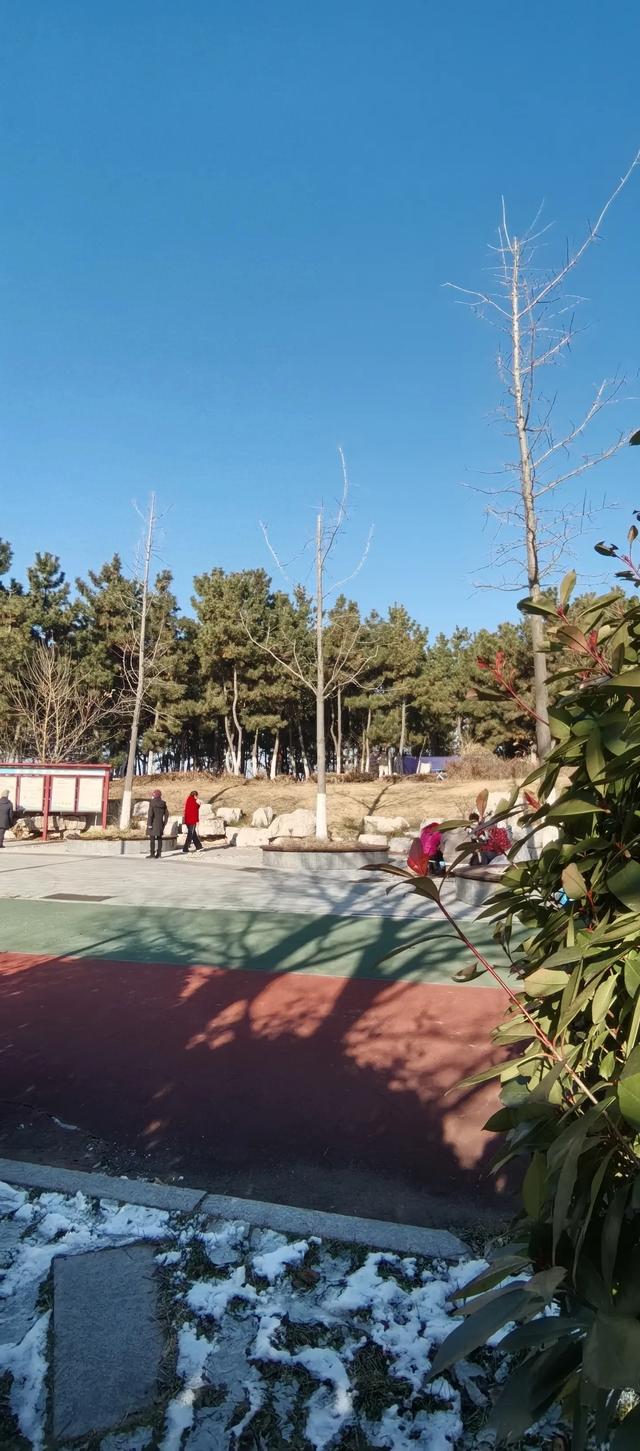 《头条首发》-1.jpg