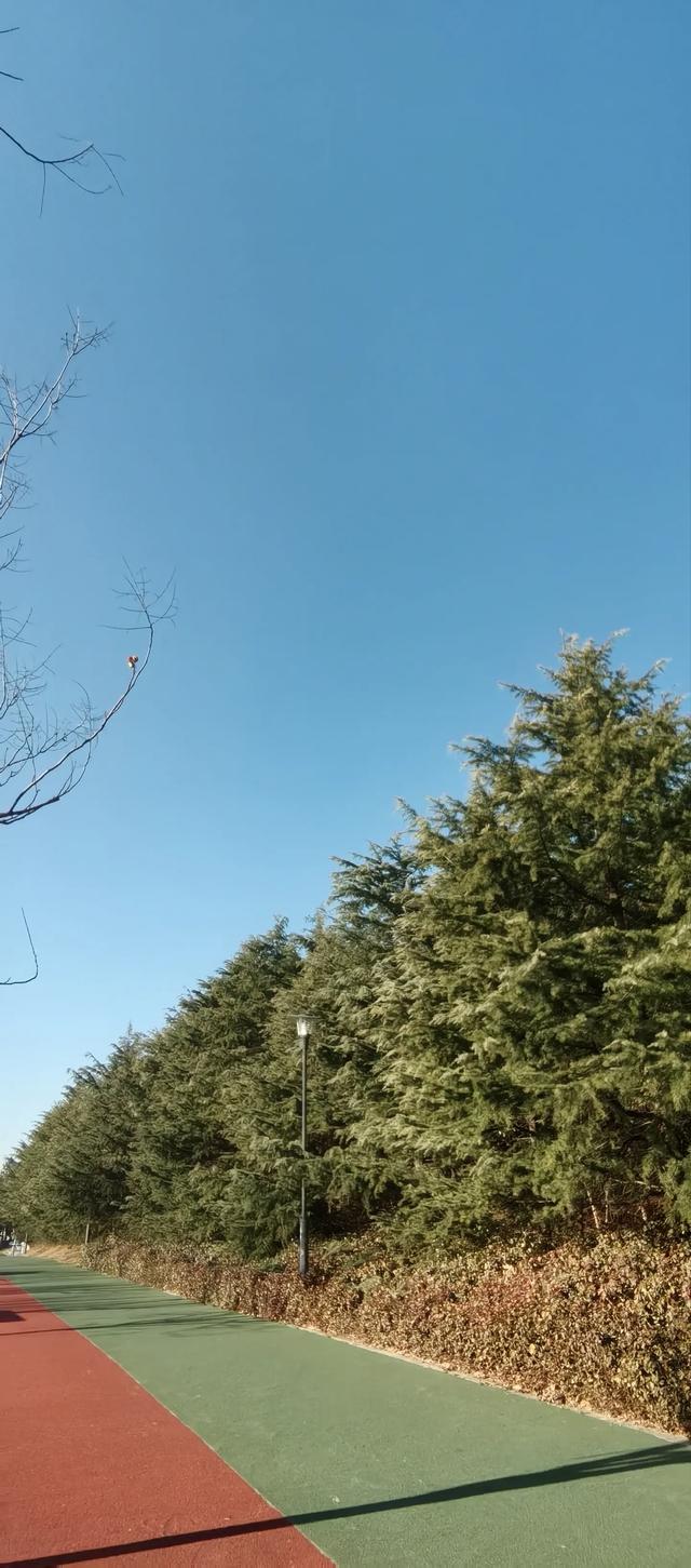 《头条首发》-2.jpg