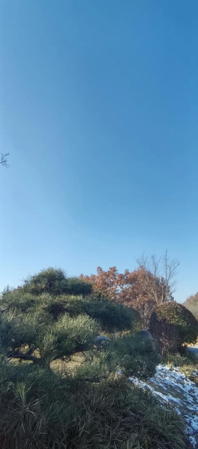 《头条首发》-6.jpg