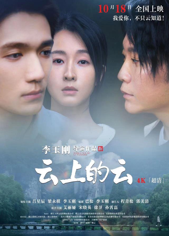 2024年大明星主演的10部票房较低的电影，黄晓明何超莲向佐等上榜-4.jpg
