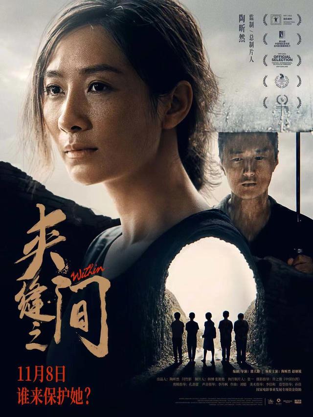 2024年大明星主演的10部票房较低的电影，黄晓明何超莲向佐等上榜-9.jpg