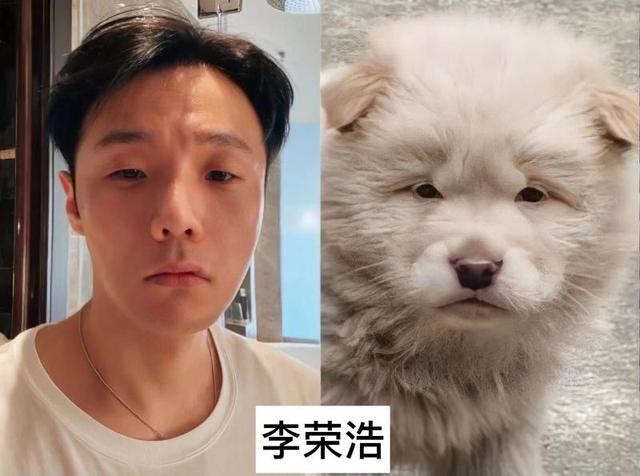 盘点和动物撞脸的明星们，周冬雨只能靠边站，黄渤才是“王炸”-20.jpg