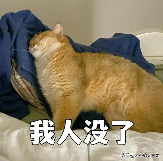 笑到腿软的搞笑句子，笑一笑十年少-2.jpg
