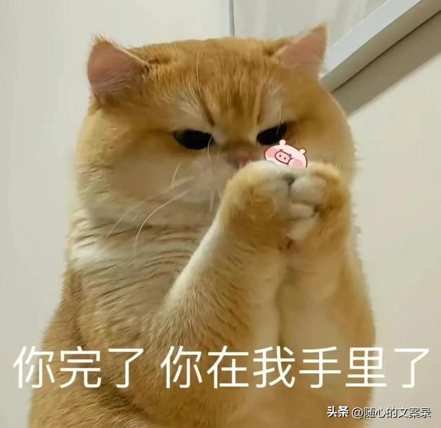笑到腿软的搞笑句子，笑一笑十年少-5.jpg