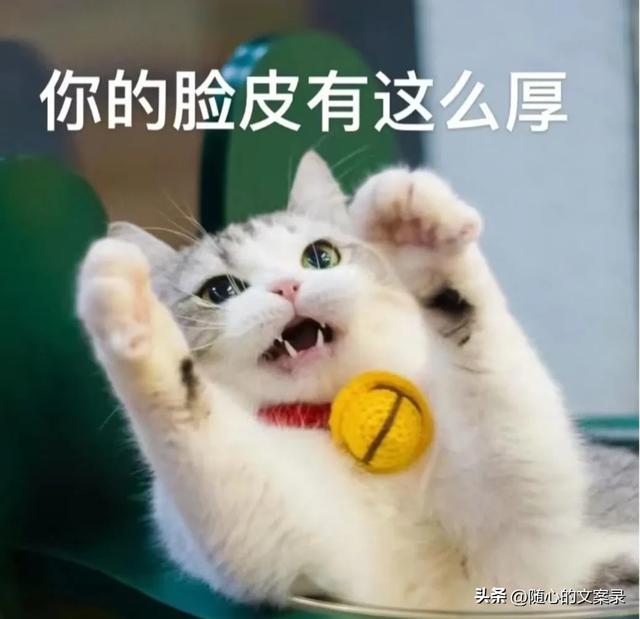 笑到腿软的搞笑句子，笑一笑十年少-6.jpg