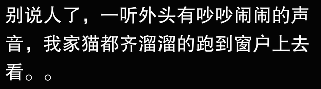 八卦就是人生解药！看完网友的评论忍俊不禁！-8.jpg