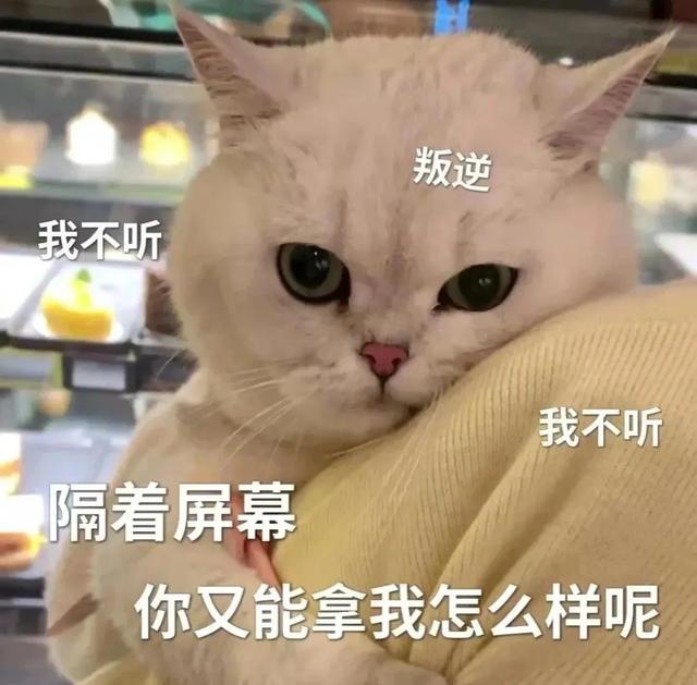精简风趣的搞笑段子，个个笑料十足，让你笑出腹肌-2.jpg