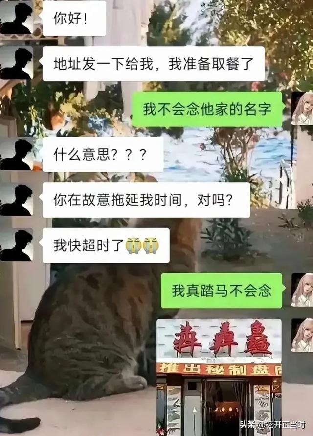 超搞笑！网友爆笑神评精选合集，看完成功笑出八块腹肌哈哈哈哈哈-4.jpg