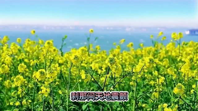 易经5探秘八卦：古老智慧的符号密码#易经-5.jpg