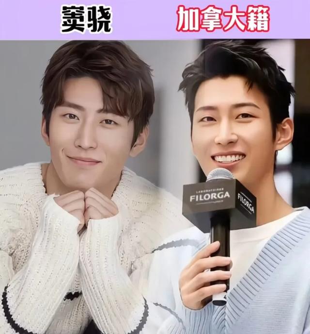 盘点娱乐圈21位“外国籍”的明星-17.jpg