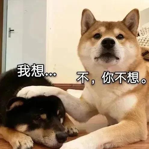 笑掉大牙的搞笑段子，幽默逗趣-3.jpg
