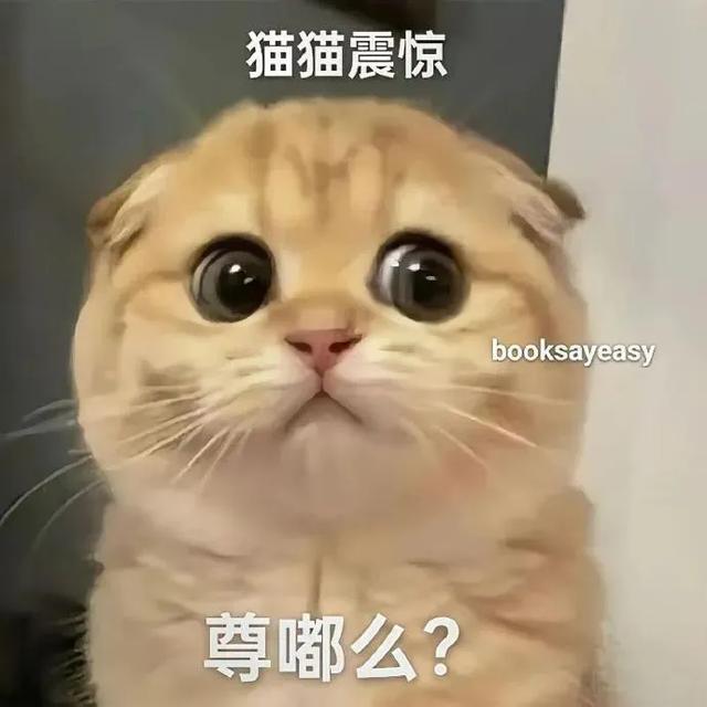 笑掉大牙的搞笑段子，幽默逗趣-6.jpg