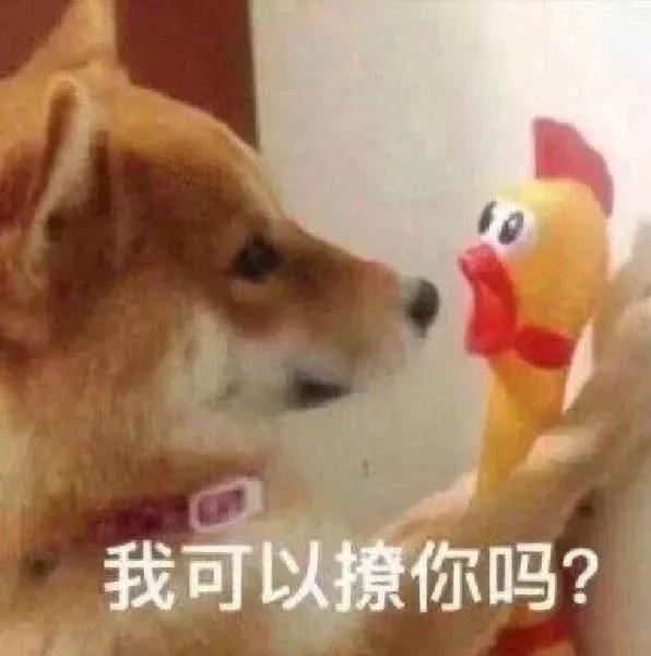 极品笑话精选，笑一笑十年少，让人笑翻，顶不住了，开心最重要~-5.jpg