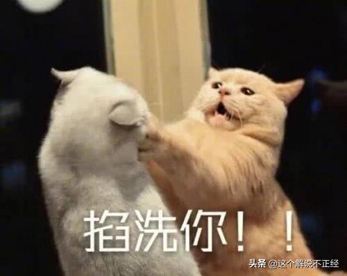 9个笑的肚子疼的笑话-7.jpg