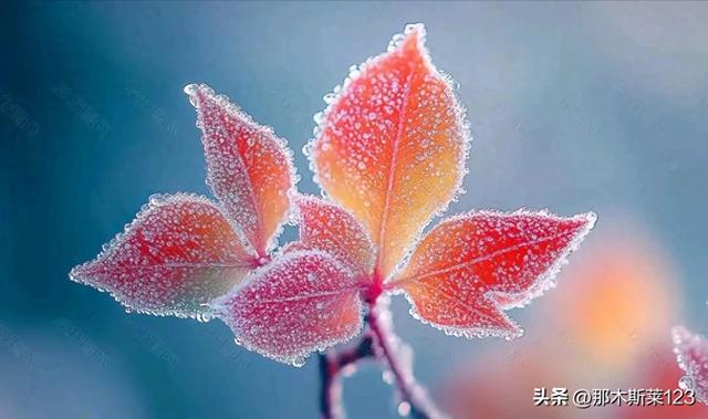 头条七言对联（5）-1.jpg