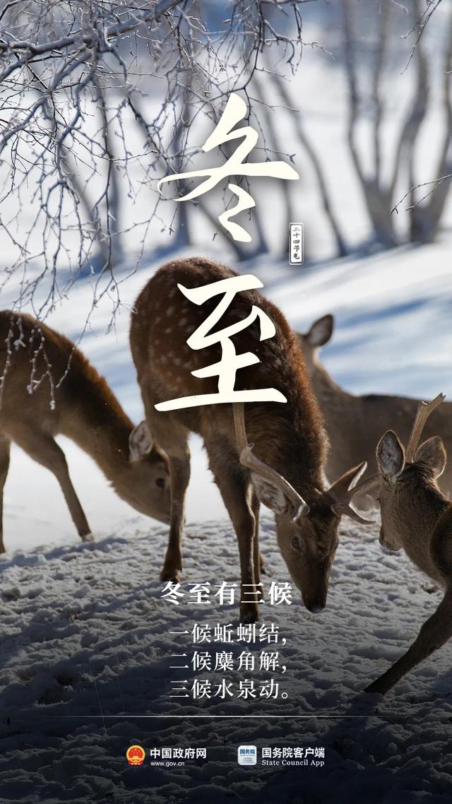 【头条】冬至大如年！-5.jpg