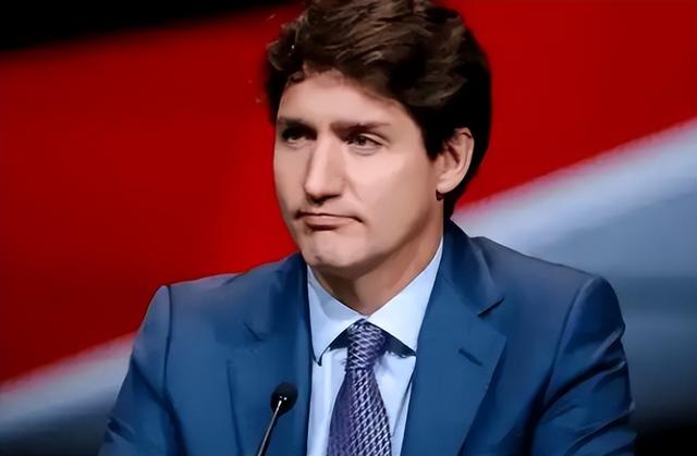解气！加拿大连续挑衅我国，沉默5天后，我国重拳出手了，不简单-2.jpg