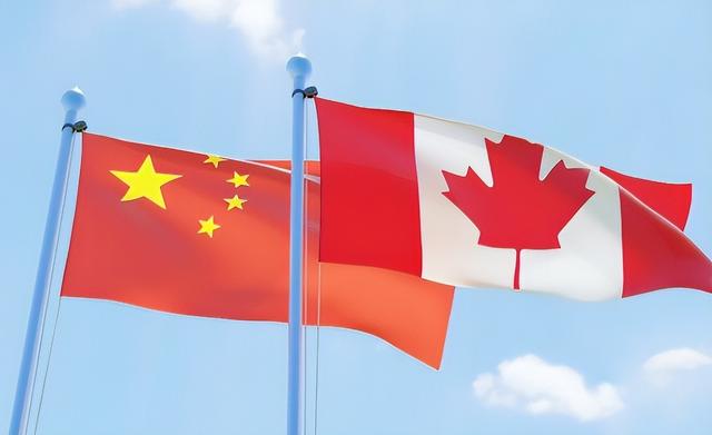 加拿大当众挑衅，沉默五天后，中方果断亮剑反击，出手又快又准-8.jpg