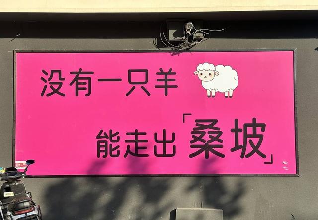 河南桑坡村的AB面：趋之若鹜的代购和满大街的“打假”标语｜封面头条-6.jpg