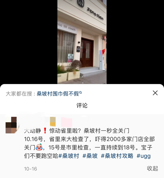 河南桑坡村的AB面：趋之若鹜的代购和满大街的“打假”标语｜封面头条-9.jpg