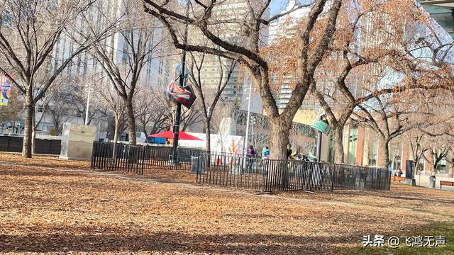 加拿大的多与少-4.jpg