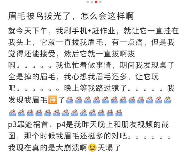 今日头条：我就说教练没教真东西吧！-21.jpg