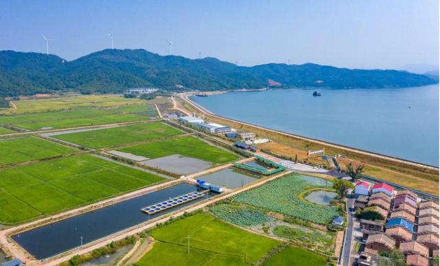 江西日报要闻版头条丨“井冈山”农产品成海外抢手货-2.jpg
