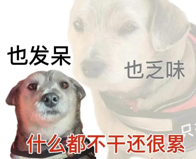 搞笑段子:好笑到爆的幽默段子，脑洞满满，逗你开心不含糊-3.jpg